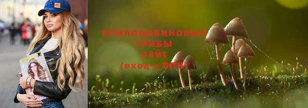 хмурый Надым