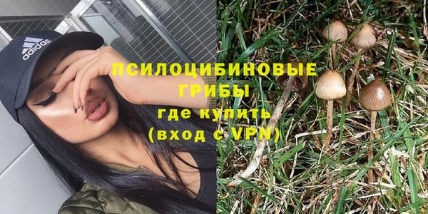 хмурый Надым