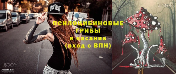 сатива Наволоки