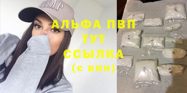 PSILOCYBIN Бердск