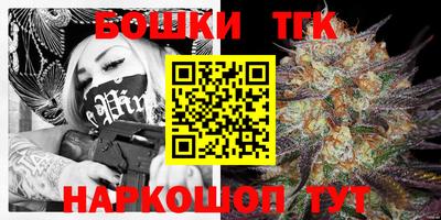 индика Ипатово