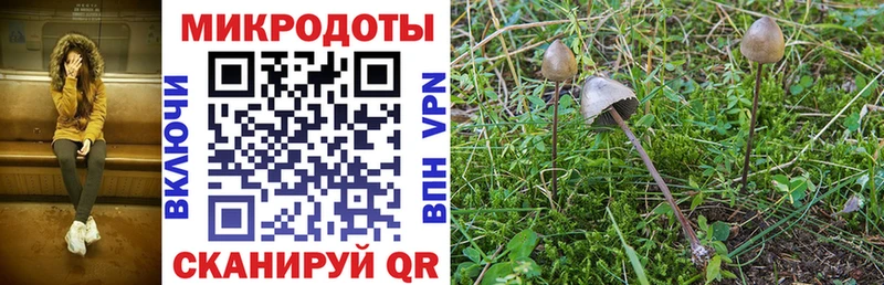 Галлюциногенные грибы ЛСД  Обнинск 