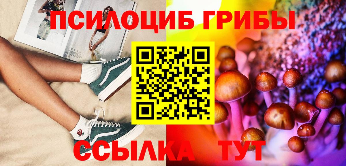 Псилоцибиновые грибы Psilocybine cubensis Обнинск