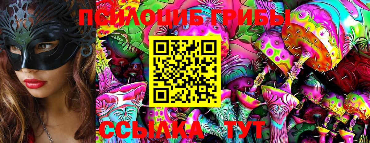 купить наркотик  Галлюциногенные грибы MAGIC MUSHROOMS  Вход с VPN  Обнинск 